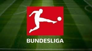  网坛常青树费德勒复出，慈善表演赛筹款破纪录